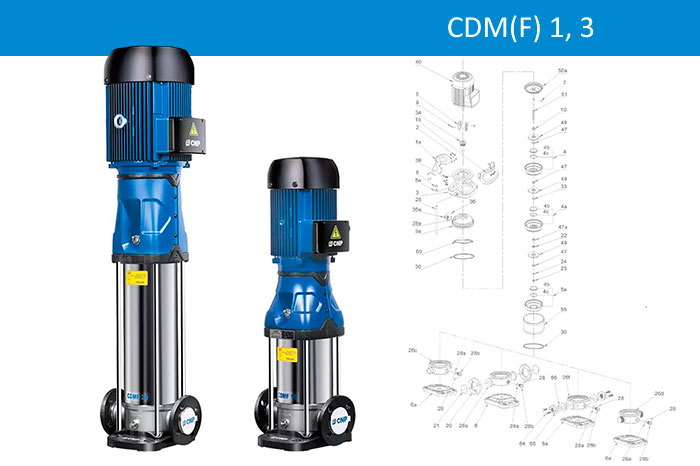 CNP CDM, CDMF 1 3