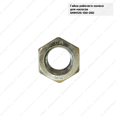Гайка рабочего колеса CNP SMM125-100-250, 18-08-91536