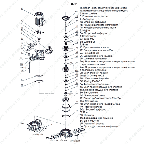 взрыв-схема многоступенчатого насоса CNP CDM5