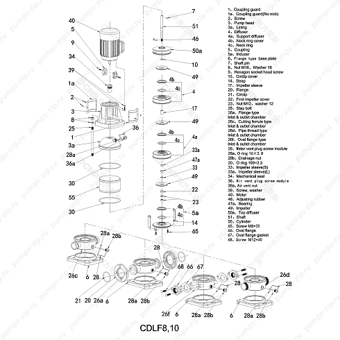 Деталировка насосов CNP CDL8, CDL10
