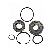 Комплект подшипников Grundfos Kit, Ball bearing complete, 6205 / 6305, MG90, 96279794