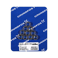 Упаковка подшипников Grundfos Bearing ring mach, bulk, 10шт, 97905743